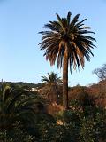 DSCF3765