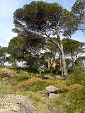 IMG_3314