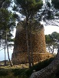 IMG_3316