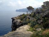 IMG_3318
