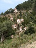 IMG_3342