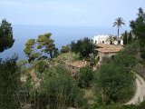 IMG_3344