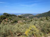 IMG_3196