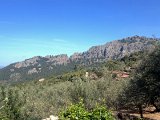 IMG_3199