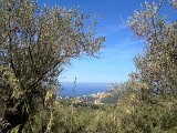 IMG_3200