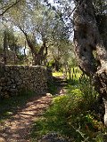 IMG_3201