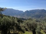 IMG_3202
