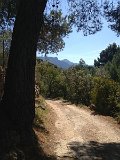IMG_3206
