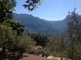 IMG_3207