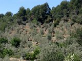 IMG_3214