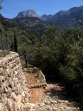IMG_3221