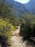 IMG_3222
