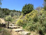IMG_3228