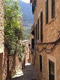 IMG_3232