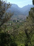 IMG_3234