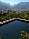 IMG_3236