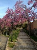 IMG_3187