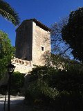 IMG_3306