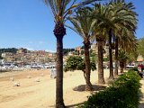 IMG_3461