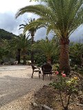 IMG_3463