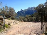 IMG_3250