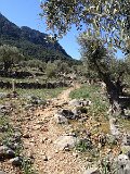IMG_3253