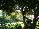 IMG_0382