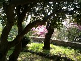 IMG_0383