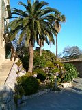 IMG_0388