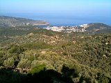 IMG_0390