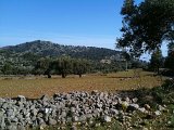 IMG_0399