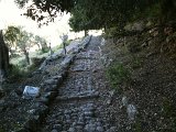 IMG_0401