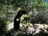 IMG_0408