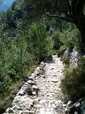 IMG_0410