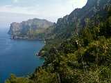 IMG_0422