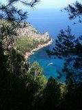 IMG_0424