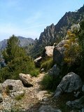 IMG_0425