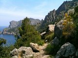 IMG_0426