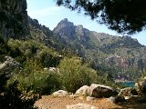 IMG_0427