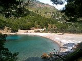 IMG_0432