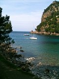 IMG_0433
