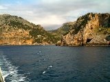 IMG_0445