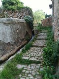 IMG_0483