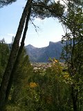 IMG_0501