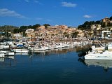 IMG_0506