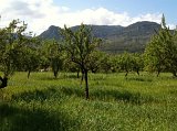 IMG_0515