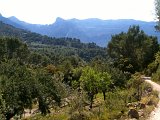 IMG_0522