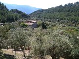 IMG_0523
