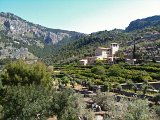 IMG_0527