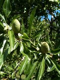 IMG_0530